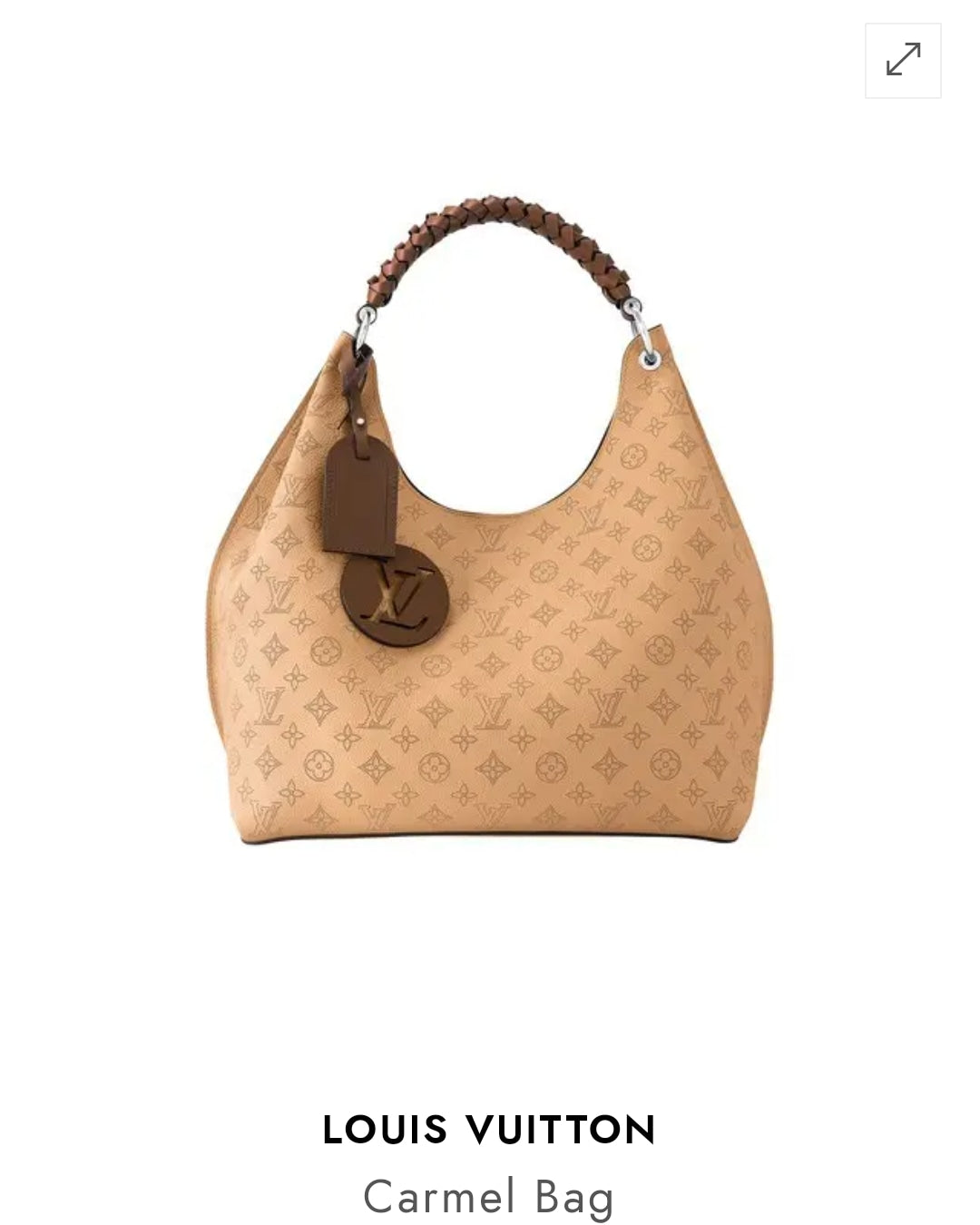 louis Vuitton camel bag